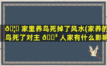 🦄 家里养鸟死掉了风水(家养的鸟死了对主 🐳 人家有什么影响)